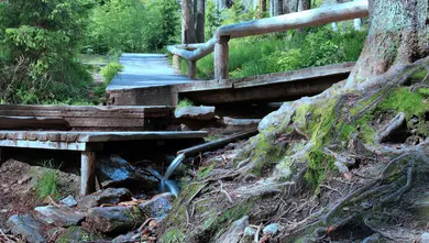 Pramen Vltavy | © NP Šumava
